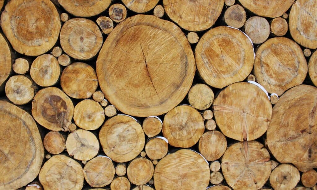 Fertighaus-WEISS-Holz-quer